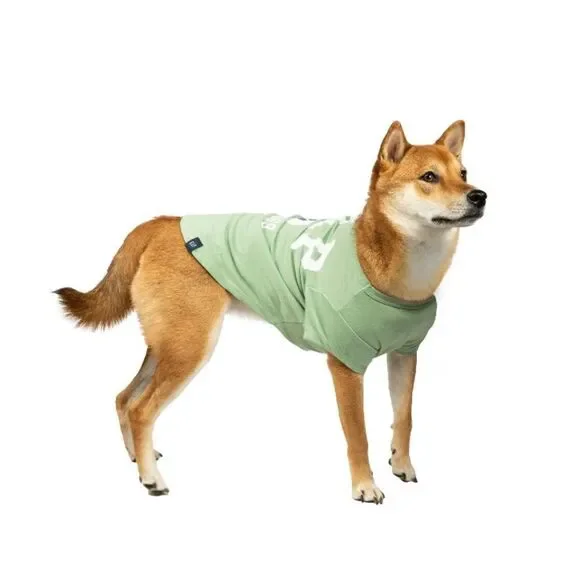 Gap Pet, Dog Clothes, Classic Logo Paw Print T-Shirt Size L - Picture 3 of 5